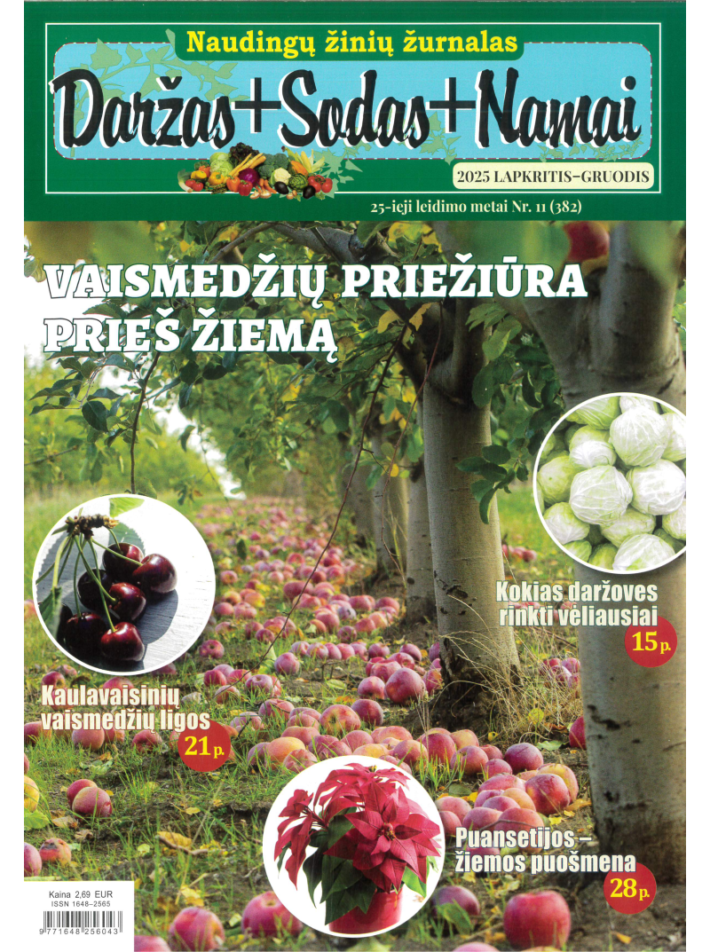 Daržas+Sodas+Namai1{IMAGE}