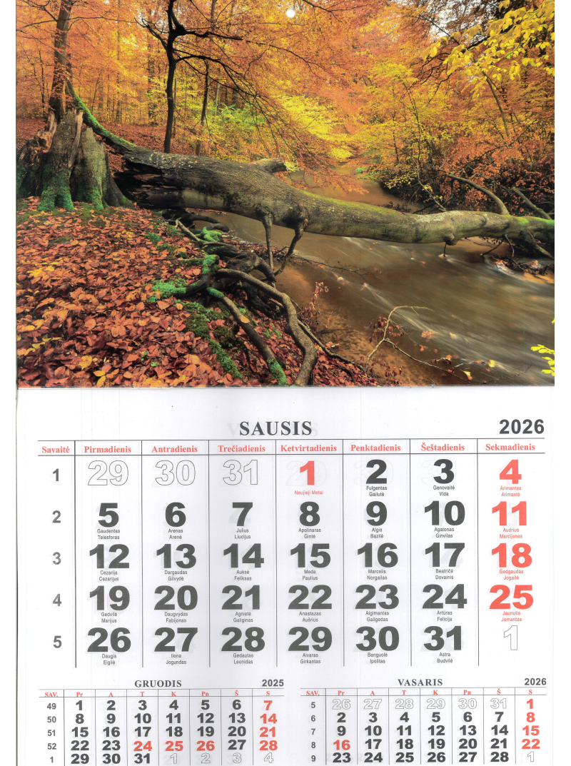 2026 vienos dalies sieninis kalendorius. Miškas1{IMAGE}