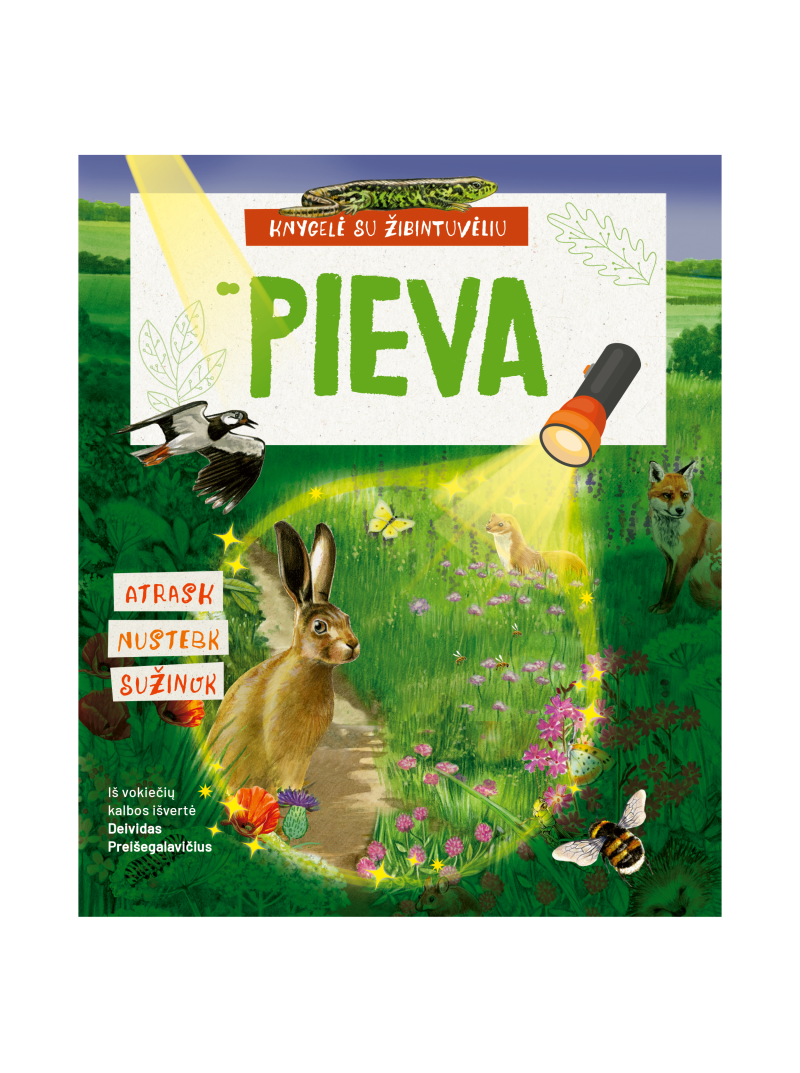 Pieva. Knygelė su žibintuvėliu1{IMAGE}