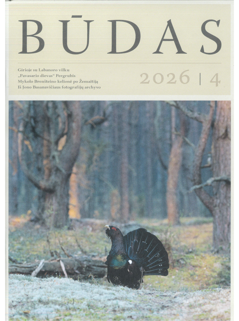 Būdas1{IMAGE}