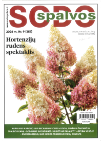 Sodo spalvos1{IMAGE}
