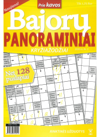 BAJORŲ Panoraminiai1{IMAGE}