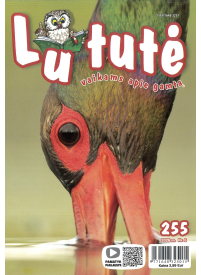 Lututė1{IMAGE}