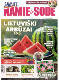 Namie ir sode1{IMAGE}