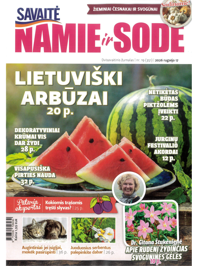 Namie ir sode1{IMAGE}