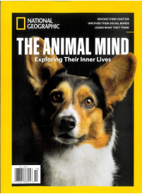 National Geographic Collector's Edition1{IMAGE}