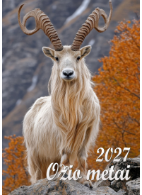 2027 Kalendorius. Ožio metai1{IMAGE}