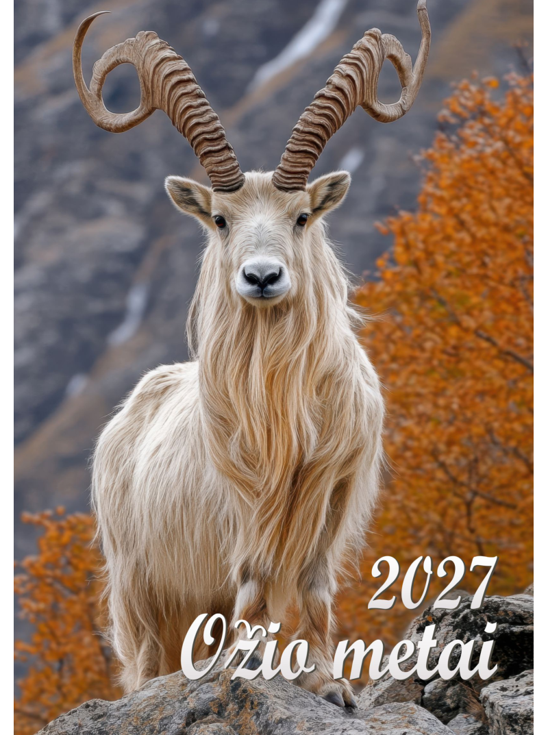 2027 Kalendorius. Ožio metai1{IMAGE}