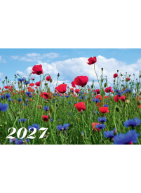 2027 Sieninis kalendorius. Lauko gėlės1{IMAGE}