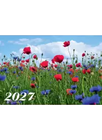 2027 Sieninis kalendorius. Lauko gėlės1{IMAGE}