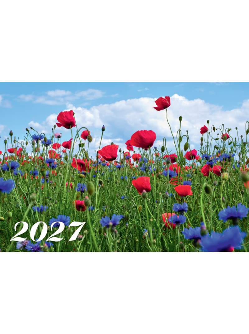 2027 Sieninis kalendorius. Lauko gėlės1{IMAGE}