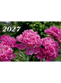 2027 Sieninis kalendorius. Bijūnai1{IMAGE}
