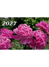 2027 Sieninis kalendorius. Bijūnai1{IMAGE}