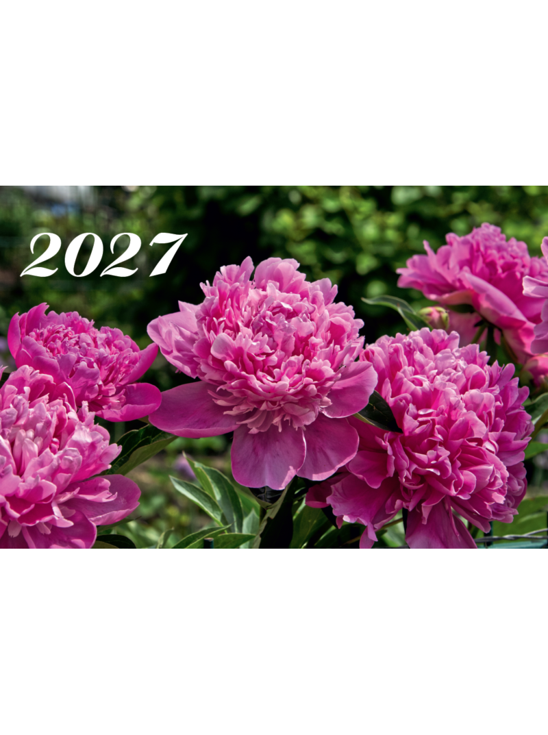 2027 Sieninis kalendorius. Bijūnai1{IMAGE}