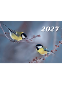 2027 Sieninis kalendorius. Zylės1{IMAGE}
