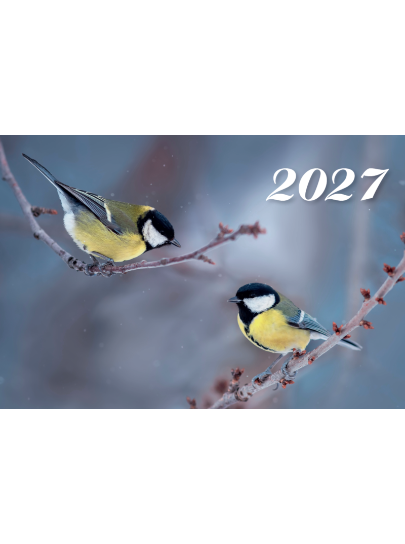 2027 Sieninis kalendorius. Zylės1{IMAGE}
