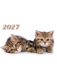 2027 Sieninis kalendorius. Katinėliai1{IMAGE}