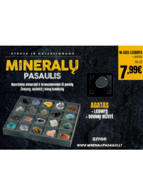 Mineralų pasaulis. Agatas2{IMAGE}