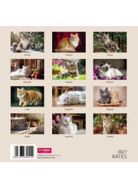 2027 kalendorius. Katės 33x332{IMAGE}
