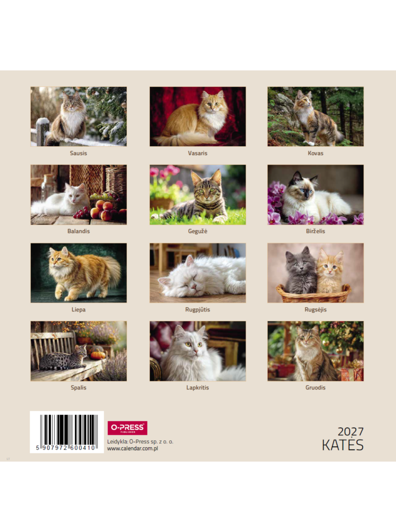 2027 kalendorius. Katės 33x331{IMAGE}
