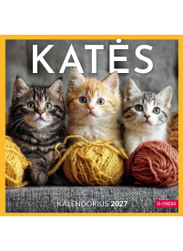 2027 kalendorius. Katės 33x331{IMAGE}