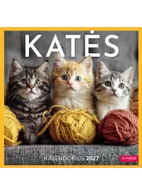 2027 kalendorius. Katės 33x331{IMAGE}
