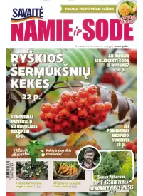Namie ir sode1{IMAGE}