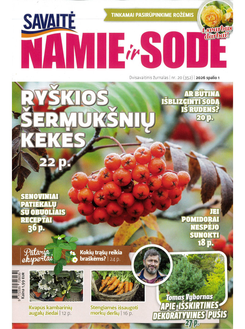 Namie ir sode1{IMAGE}
