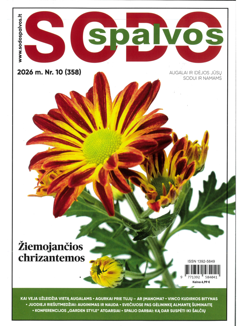 Sodo spalvos1{IMAGE}