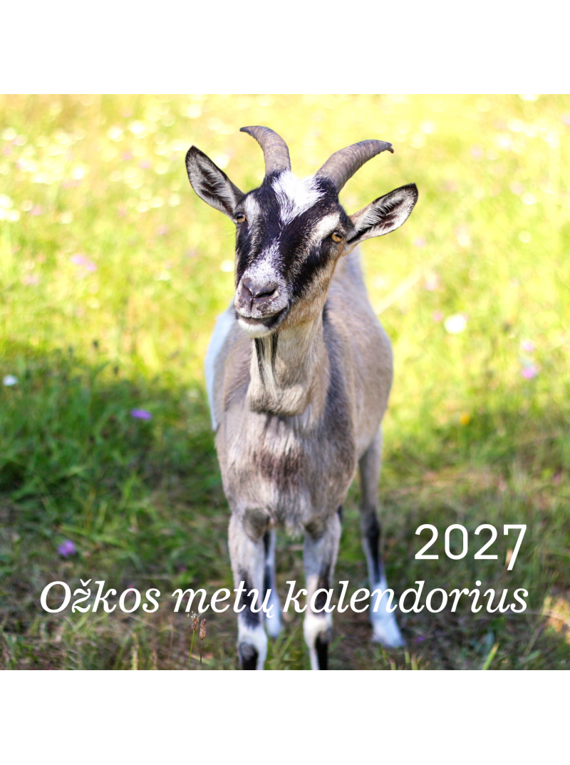 2027 Ožkos metų kalendorius 20x201{IMAGE}