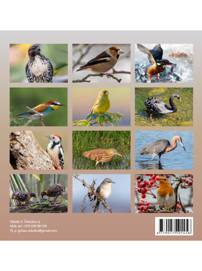 2027 Paukščių kalendorius 20x201{IMAGE}