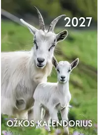 2027 metų ožkos kalendorius1{IMAGE}