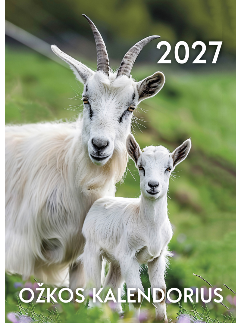 2027 metų ožkos kalendorius1{IMAGE}