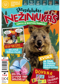 Skruzdėliukas Nežiniukas1{IMAGE}