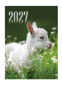 2027 Plėšomas sieninis kalendorius1{IMAGE}