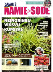 Namie ir sode1{IMAGE}
