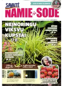 Namie ir sode1{IMAGE}