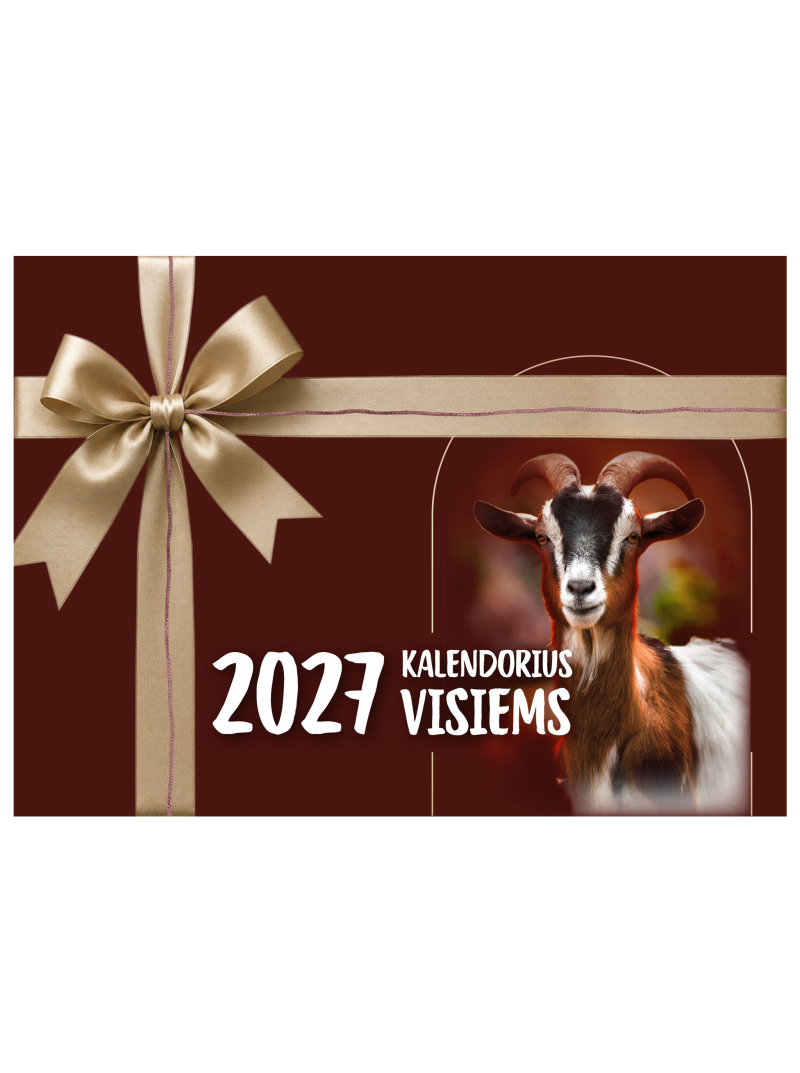 Plėšomas 2027 kalendorius dėžutėje. Visiems1{IMAGE}