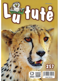 Lututė1{IMAGE}