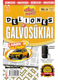 ID40 Oho maxi! Dėlionės ir galvosūkiai1{IMAGE}