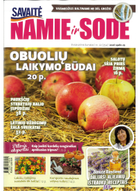 Namie ir sode1{IMAGE}