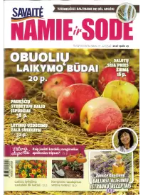 Namie ir sode1{IMAGE}