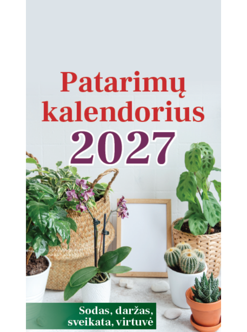 2027 Patarimų kalendorius. Plėšomas1{IMAGE}