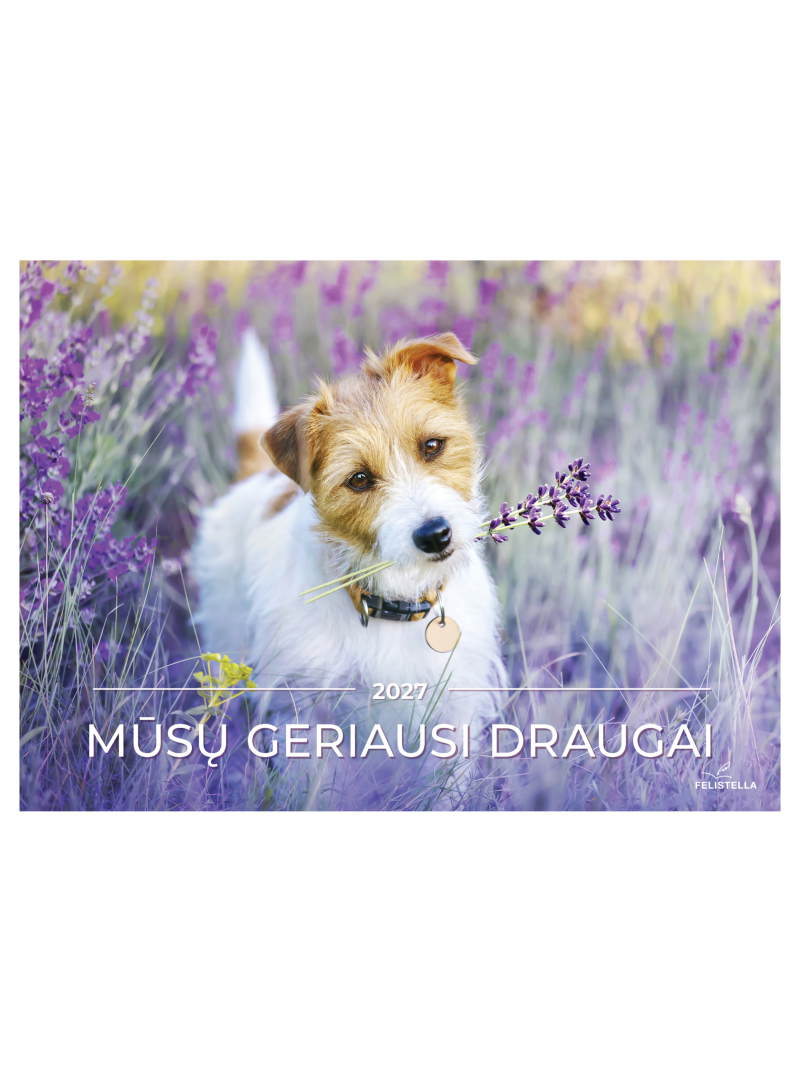 2027 metų kalendorius. Mūsų geriausi draugai1{IMAGE}