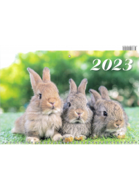 2023 Sieninis kalendorius. Triušiai