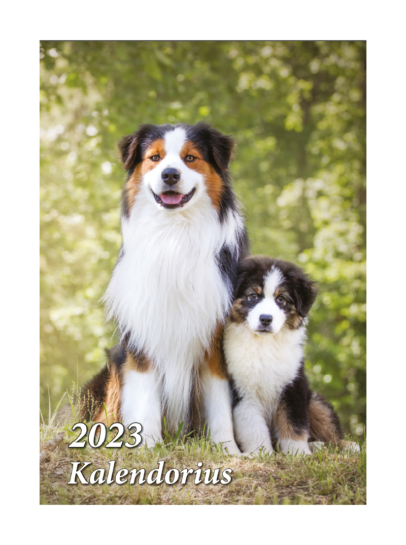 2023 Kalendorius. Šunys