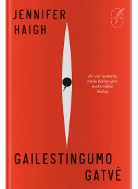Gailestingumo gatvė1{IMAGE}
