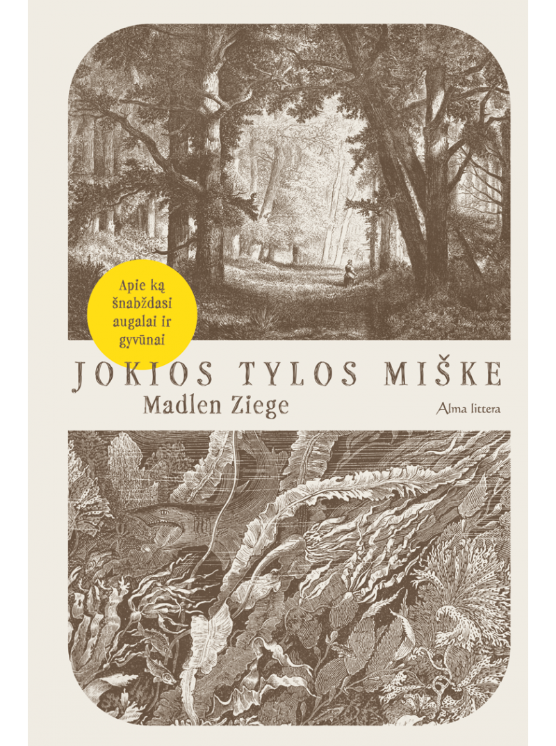 Jokios tylos miške